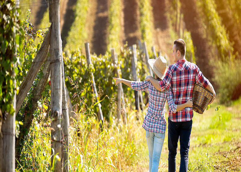 Immobilien in Weisenheim am Sand schnell erfolgreich und entspannt verkaufen